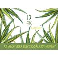 10 OK, AMIÉRT AZ ALOE VERA EGY CSODÁLATOS NÖVÉNY