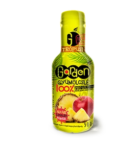 GARDEN FRISS ALMA-ANANÁSZ 100% GYÜMÖLCSLÉ 500ML