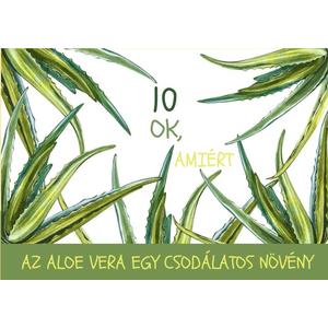 10 OK, AMIÉRT AZ ALOE VERA EGY CSODÁLATOS NÖVÉNY