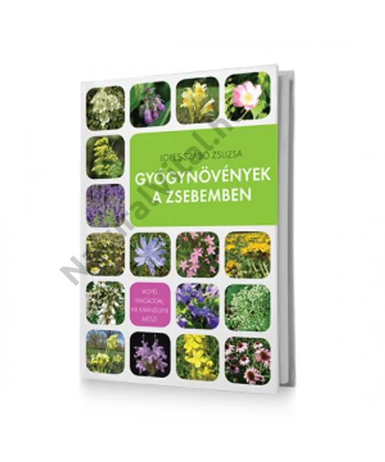 Györgytea-Gyógynövények a zsebemben, könyv